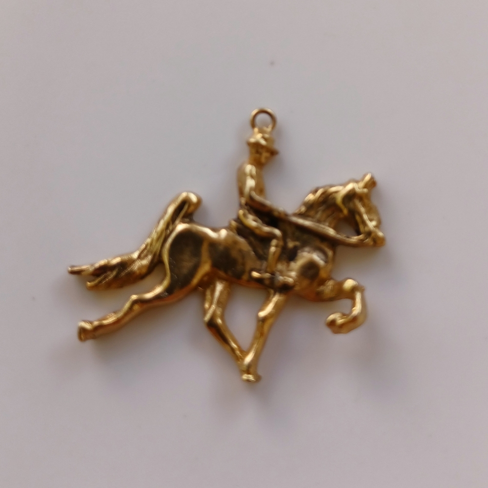 Horse and Rider Cham